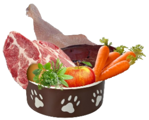 artgerechte Ernährung für den Hund