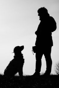 Beziehung und Erziehung im Einklang